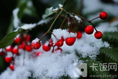 俗话说下雪不冷化雪冷为什么积雪融化时会更冷