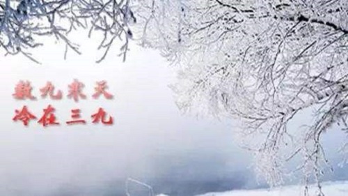 数九寒天是指冬天最冷的哪些日子，数九是从哪个节气开始