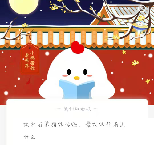故宫有养猫的传统，最大的作用是