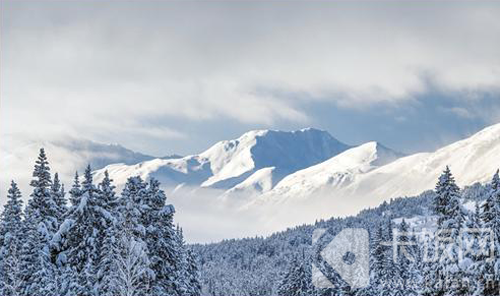 下列哪句诗是描写冬天雪景的