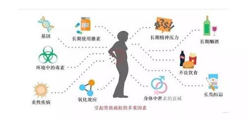 下列哪种做法，可以帮助预防骨质疏松