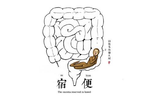 排宿便等于排毒，说法靠谱吗