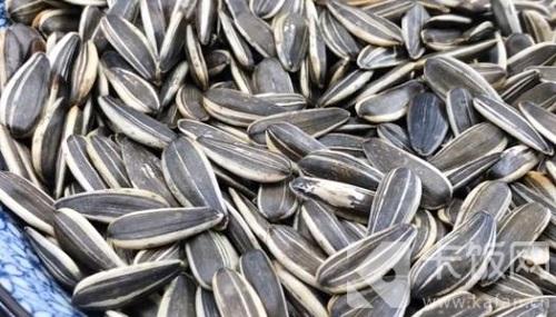 瓜子的脂肪含量很高，所以吃瓜子相当于喝油，这个说法