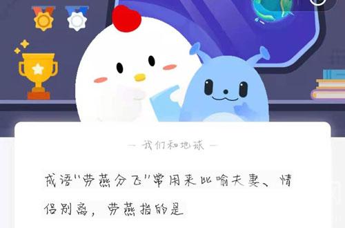 蚂蚁庄园5月10日答案最新