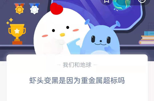 虾头变黑是因为重金属超标吗