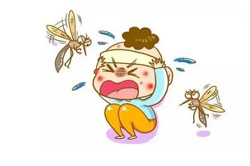 蚊子在秋天往往“战斗力”更强，是因为秋天