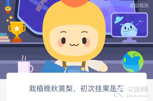 栽植晚秋黄梨，初次挂果是在