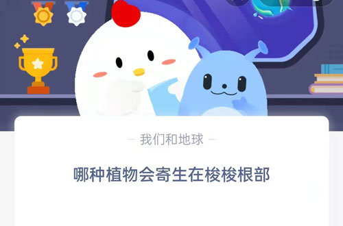 哪种植物会寄生在梭梭根部