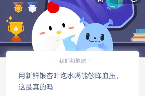 用新鲜银杏叶泡水喝能够降血压，这是真的吗