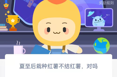夏至后栽种红薯不结红薯，对吗