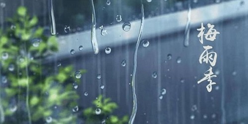 梅雨的梅是得名于杨梅成熟之意对吗