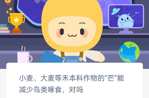 小麦大麦等禾本科作物的芒能减少鸟类啄食对吗