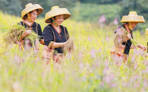海南拥处村举行啦奥门山兰文化节，啦奥门意为