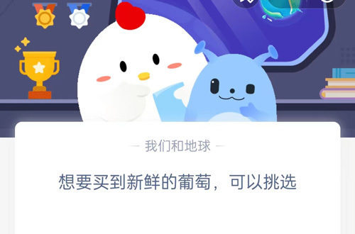 想要买到新鲜的葡萄可以挑选