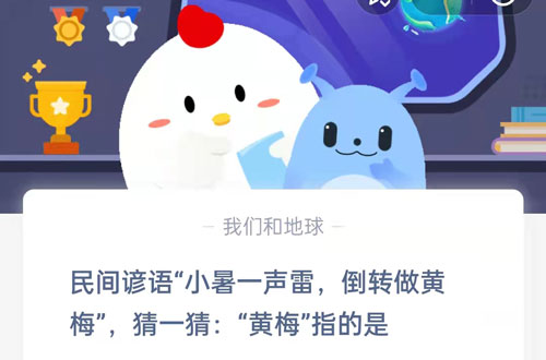 民间谚语小暑一声雷，倒转做黄梅，猜一猜黄梅指的是