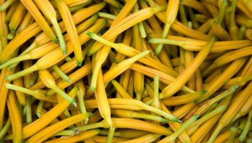 祁东黄花菜是国家地理标志保护产品吗