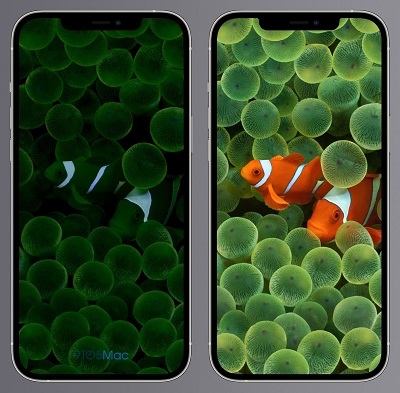 iOS 16测试版新细节：新IPhone或将支持屏幕常亮显示