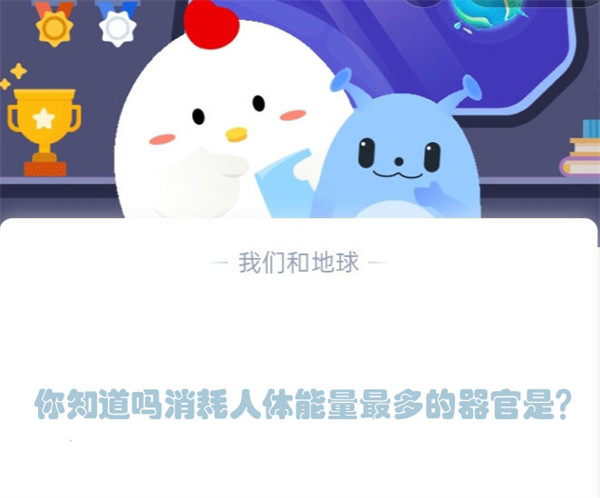 你知道吗消耗人体能量最多的器官是？蚂蚁庄园4.19日答案