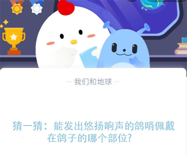 猜一猜：能发出悠扬响声的鸽哨佩戴在鸽子的哪个部位？蚂蚁庄园7.26日答案