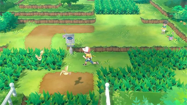 《宝可梦 走吧!皮卡丘/伊布》Switch 国行版上市