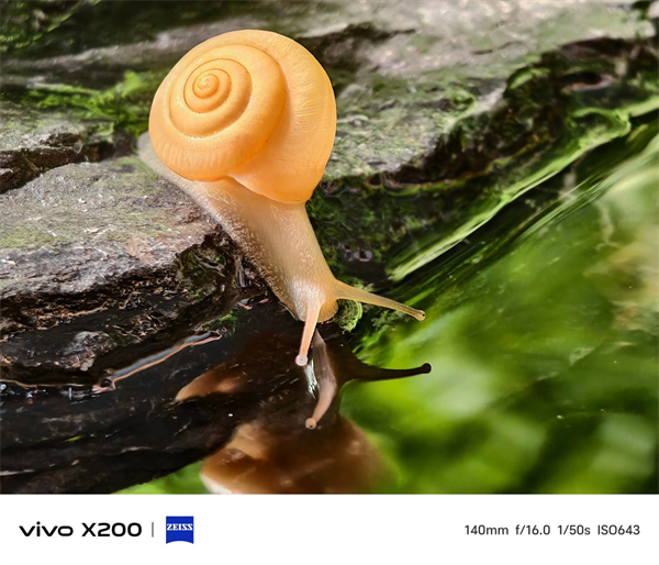 vivo X200 系列手机影像相关细节大量公开