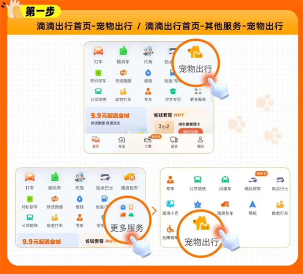 滴滴宠物出行全国范围上线，新增宠物快车服务